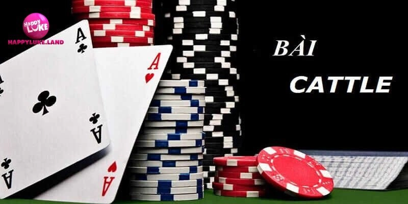 Quy trình chơi bài Catte