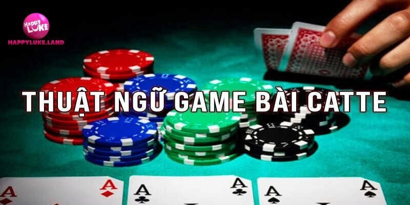 Thuật ngữ bài Catte